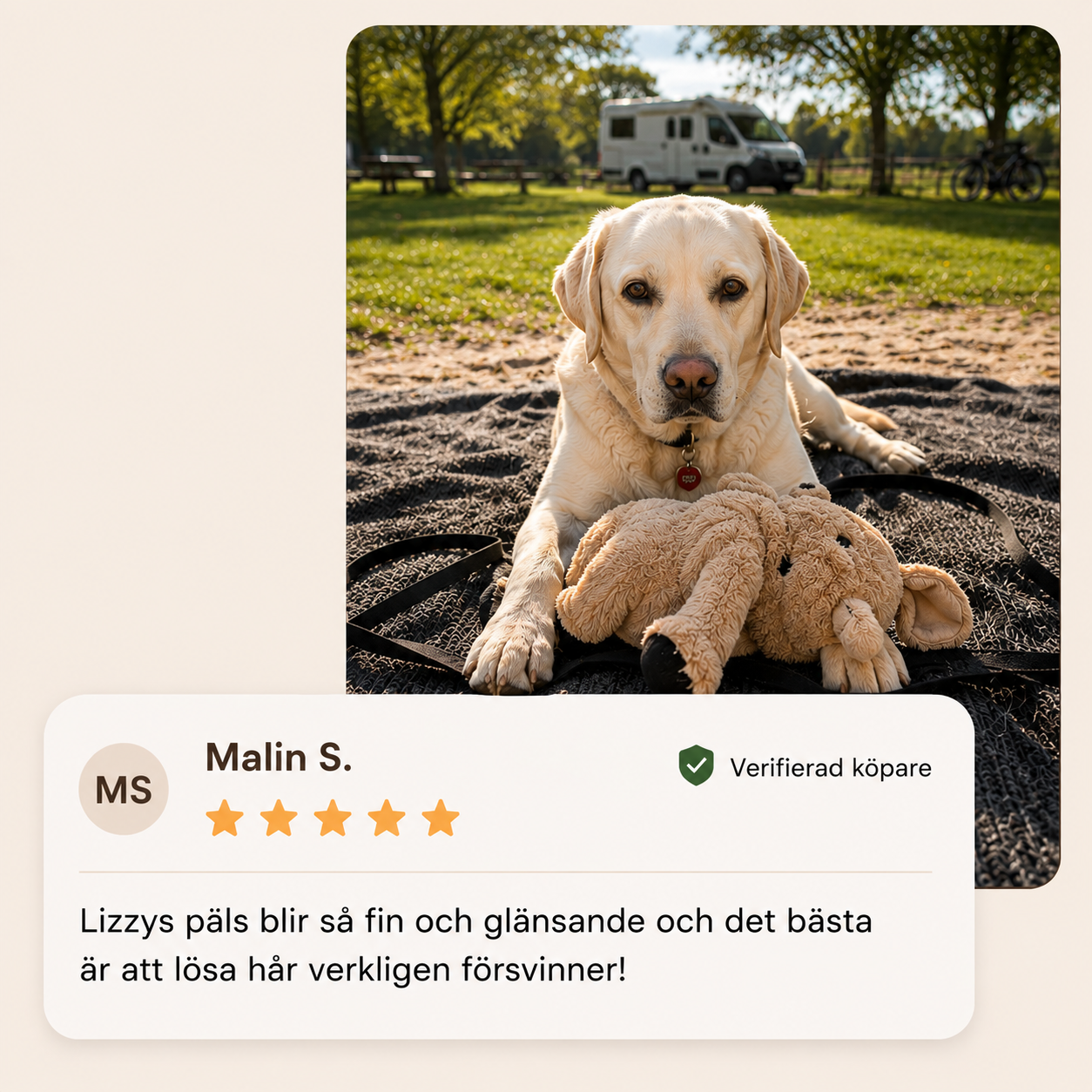 Furvixo™ | Ångborste för Pälsvård & Mindre Hår