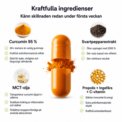Turmera™ - Turmeric Curcumin 1000mg
