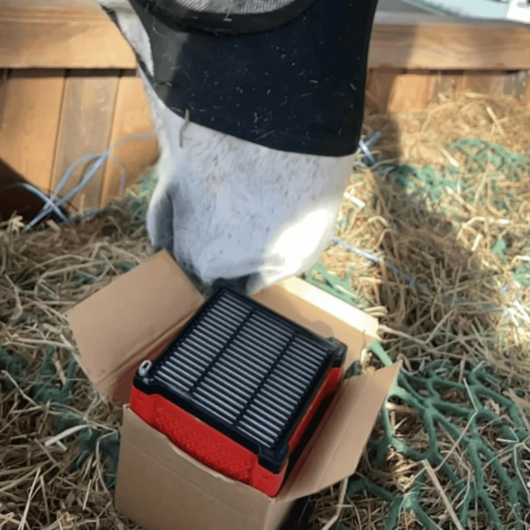 FilterBox™ | Filtrerar bort virus och bakterier