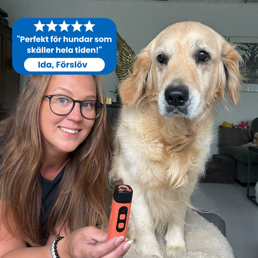 MotBark™ | Lugna ner din fluffiga vän på några sekunder