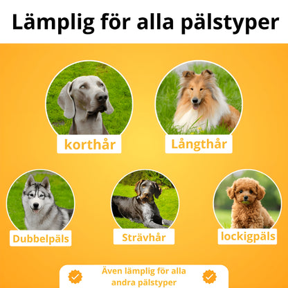 FurEase™ | Fångar Varje Hårstrå