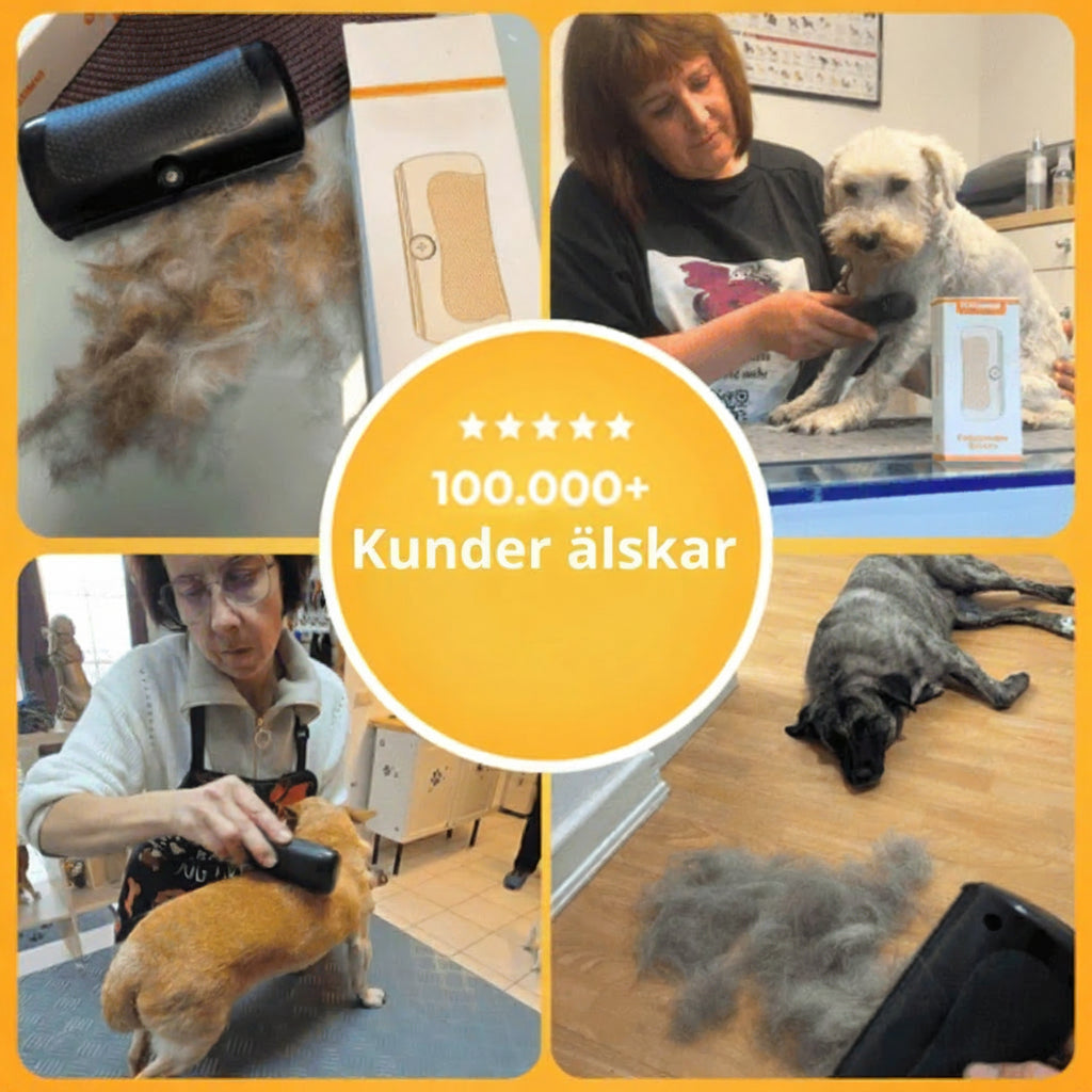 FurEase™ | Fångar Varje Hårstrå