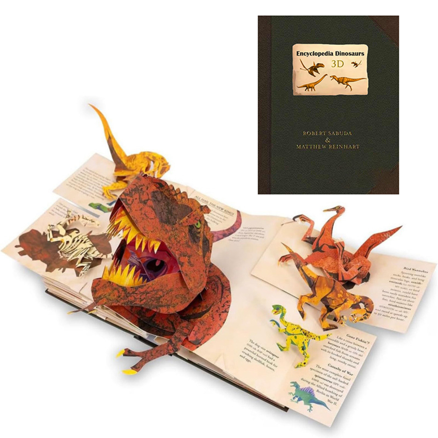 DinoGuide™ | Utforska Dinosaurier i 3D